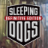 Sleeping Dogs download